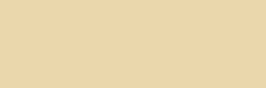 Beige colour sample – neutral, earthy tone for fashion, clothing, and outfit pairings.