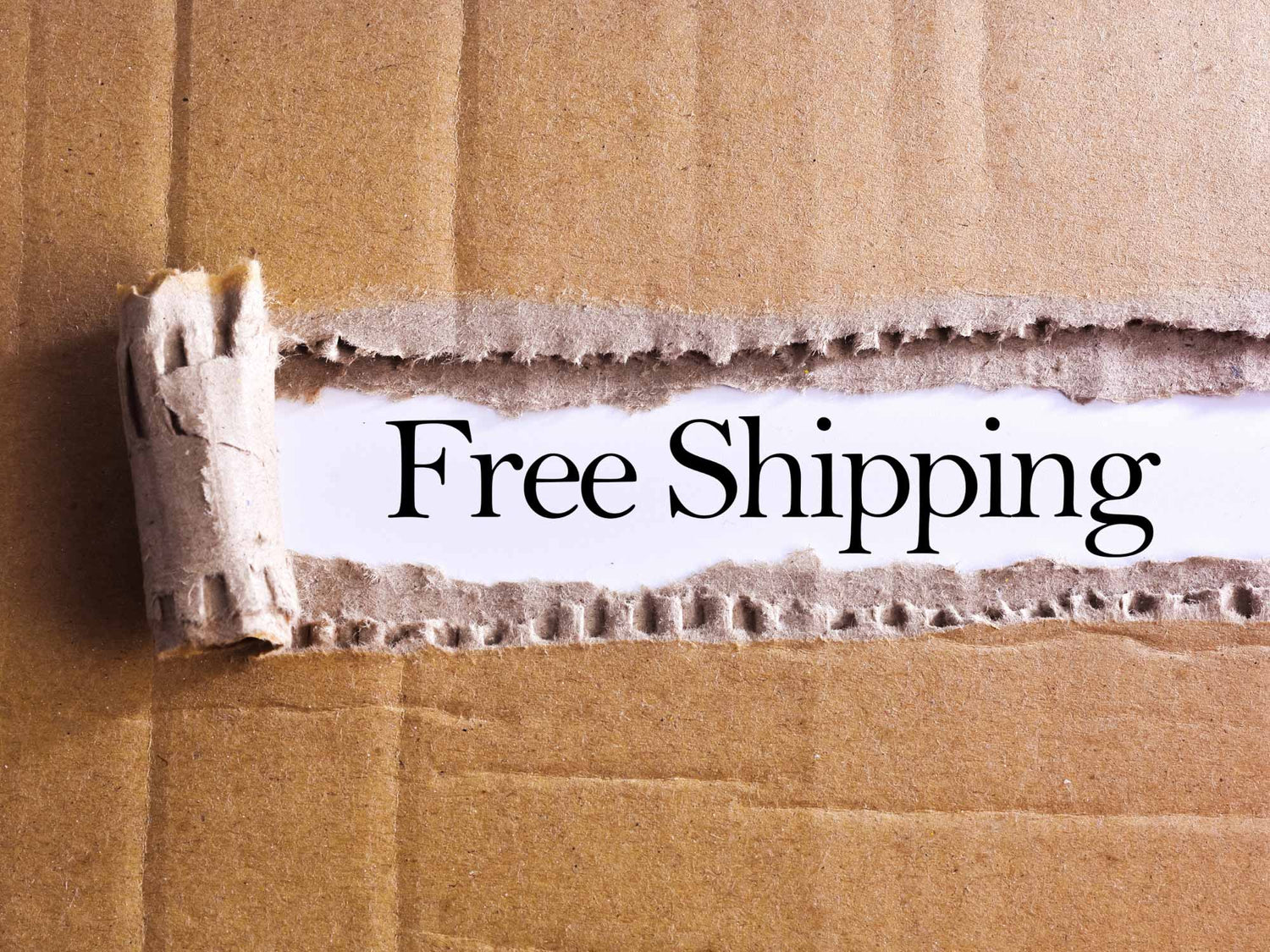 Free Shipping